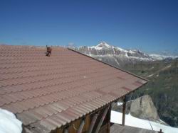 51_roger su tetto.JPG